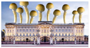 Please note - image not to scale