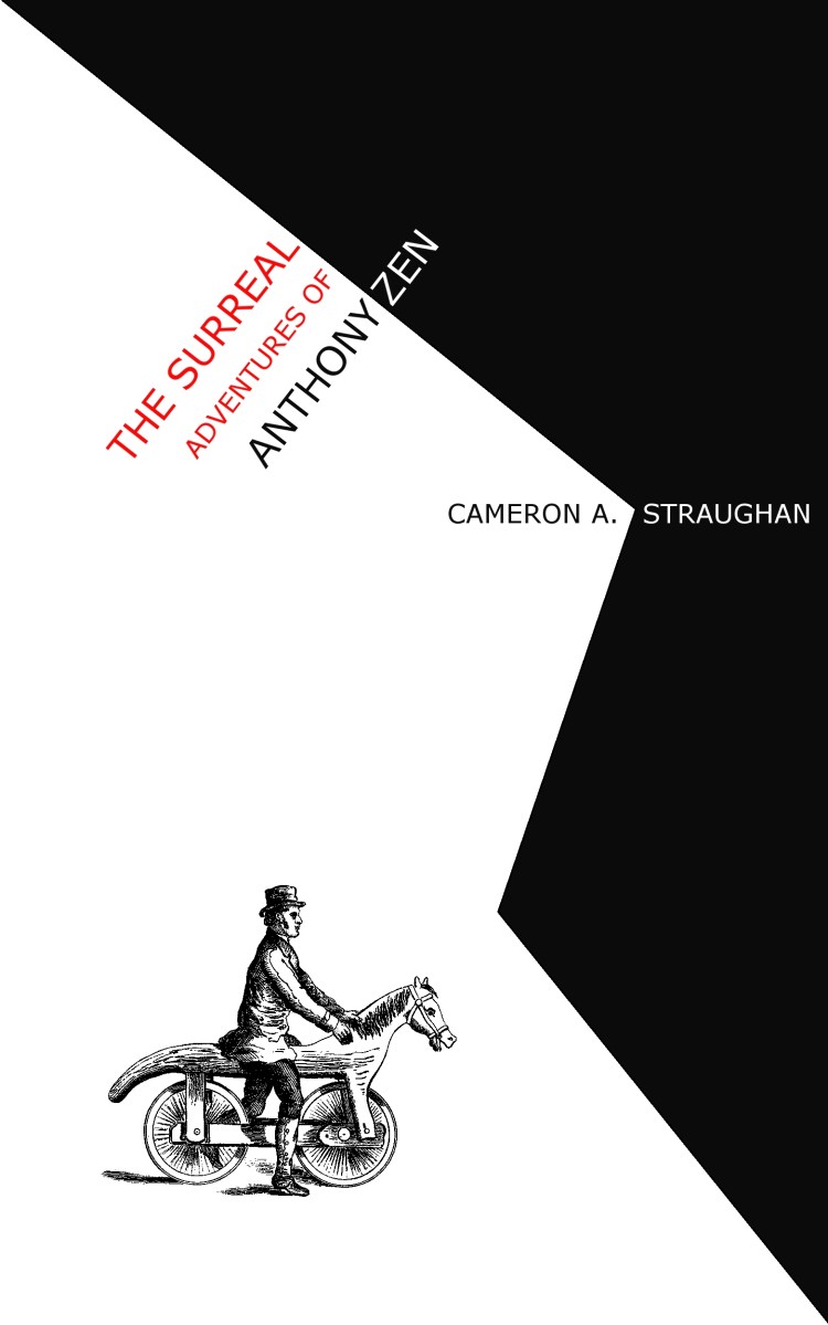 zen front cover kindle v5